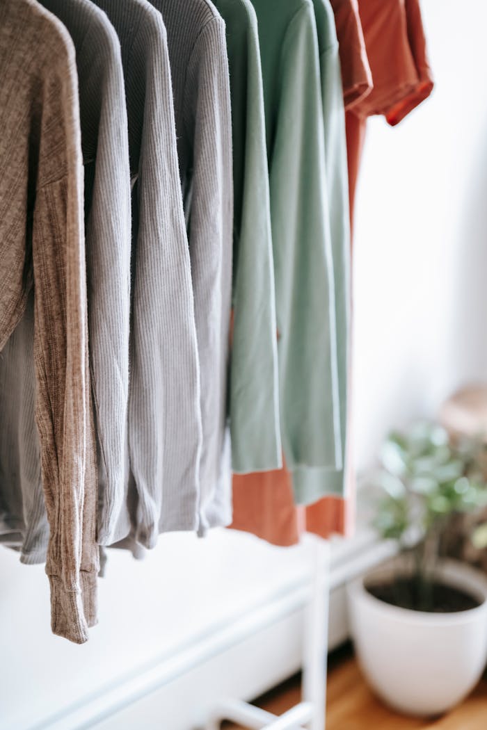 digital Light apartment interior with different apparels hanging in wardrobe near white walls and potted plant with green leaves on floor